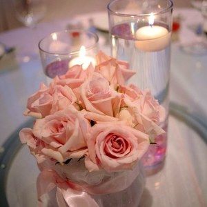 Meet your Posher, Stella